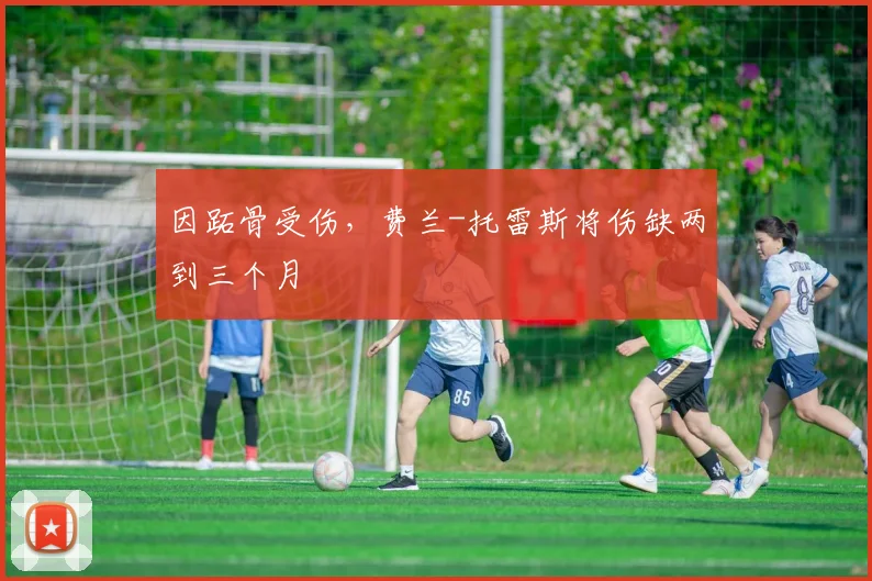 因跖骨受伤，费兰-托雷斯将伤缺两到三个月